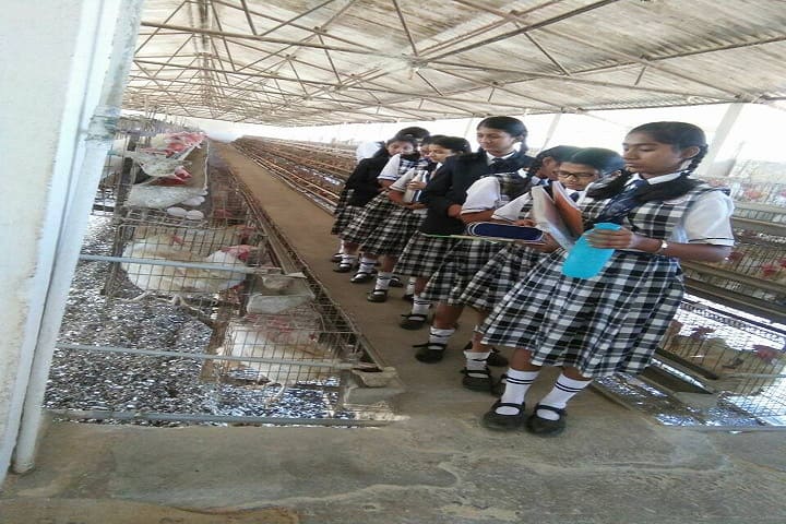 Innovative Minds School Of Excellence-Field Trip