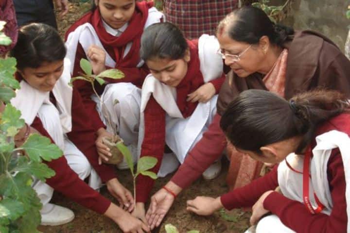 DAV Public School-Planting Tree