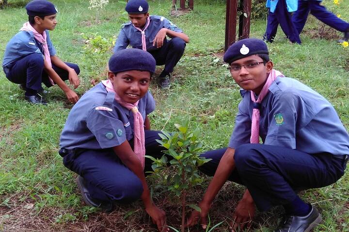 Jawahar Navodaya Vidyalaya-Plantation