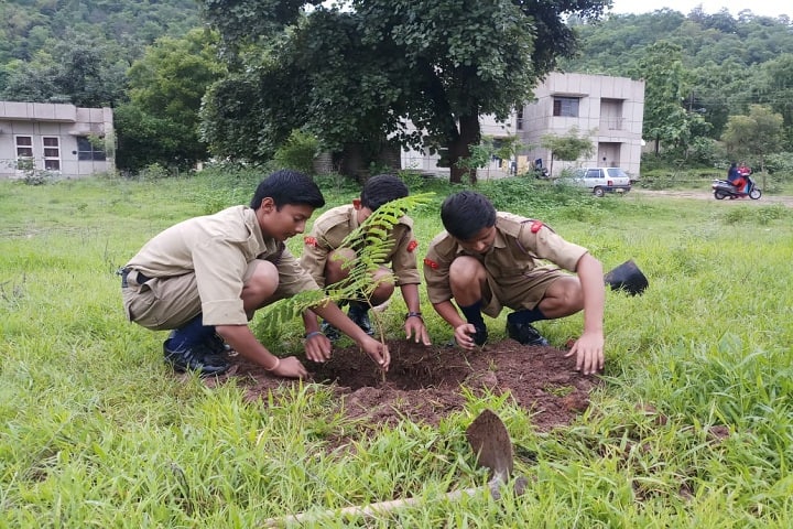 Jawahar Navodaya Vidyalaya-Tree Plantation
