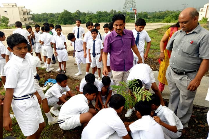 Jawahar Navodaya Vidyalaya-Activity