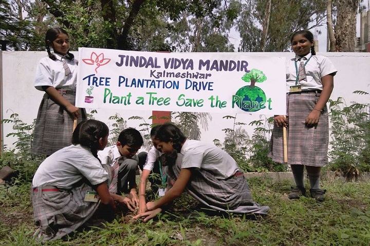 Jindal Vidya Mandir-Tree Plantation
