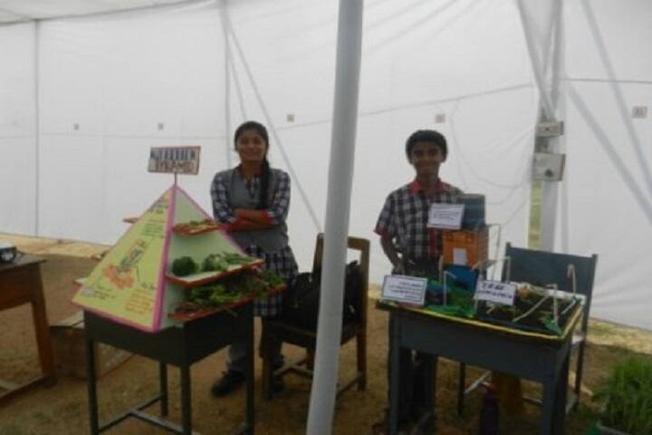 Kendriya Vidyalaya-Science Exhibition