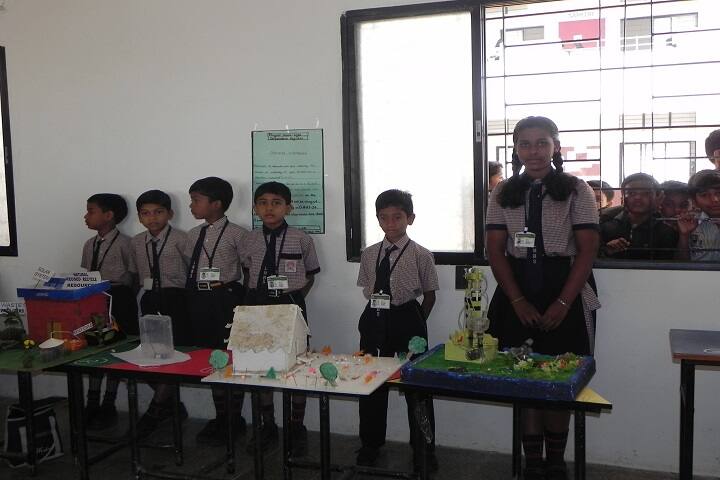 Late Madangopalji Bhaiya Public School-Exhibition