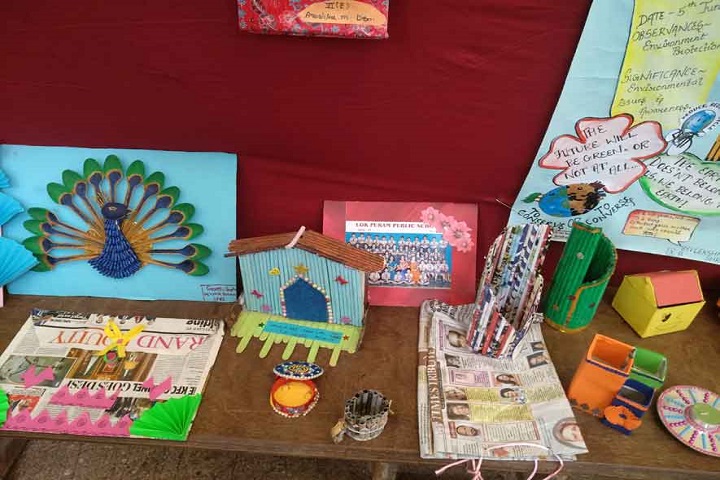 Lok Puram Public School-Exhibition