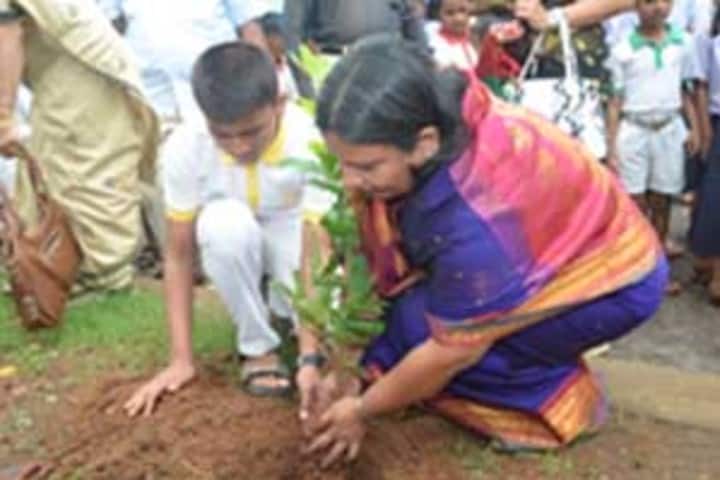 Navyug English Medium School-Tree Plantation