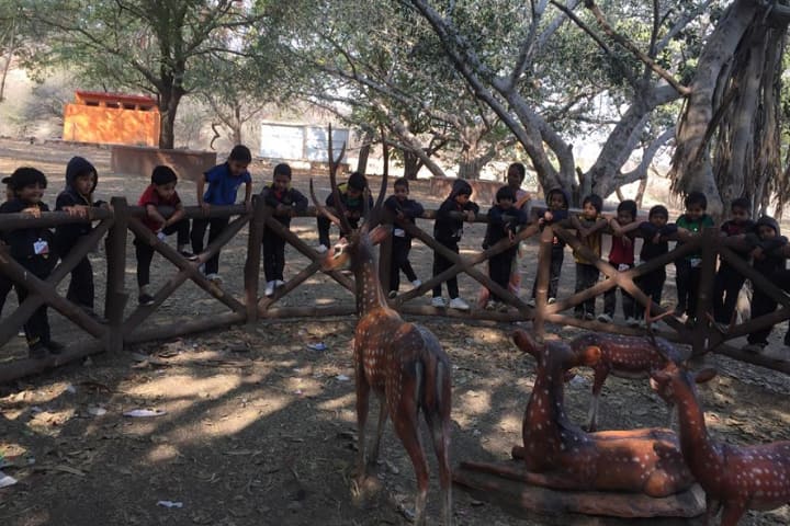 New Times International School-Picnic