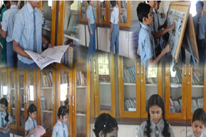 New Vision Public School-Library