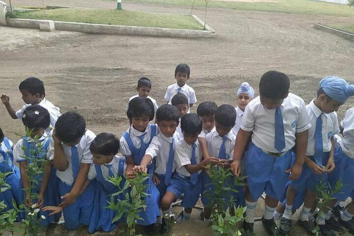 Oxford The Global School-Plantation