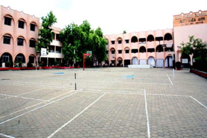 Dav Public School-Play Ground