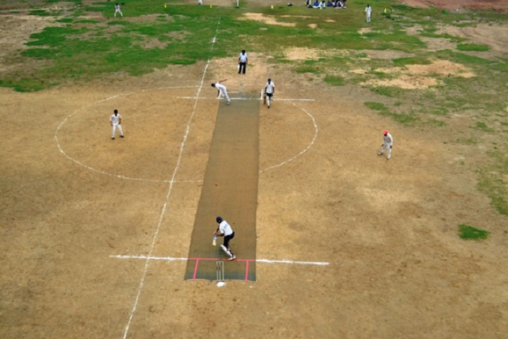 Dav Public School-Cricket