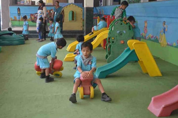 Rajendra Institute of Medical Science International School-Play Area
