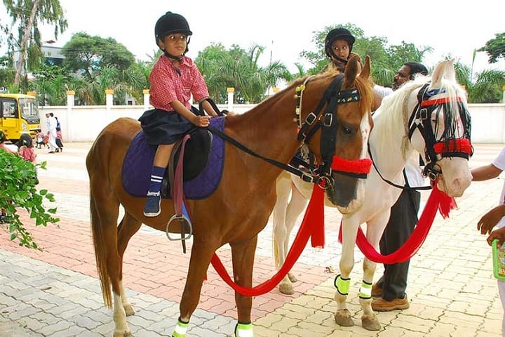 Sadhvi Preetisudhaji International School-Horse riding