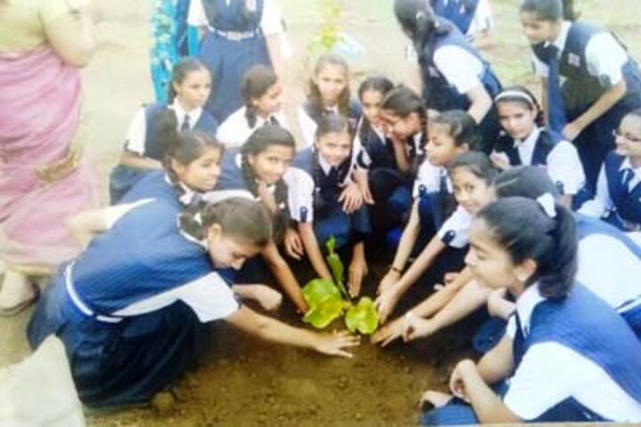 Scholars Convent-Plantation