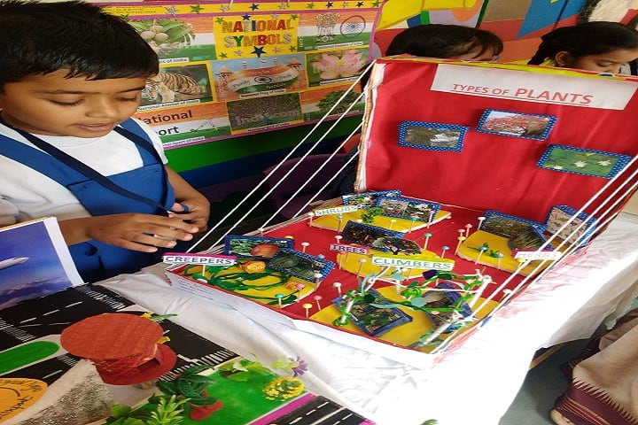 School Of Scholars-Science Exhibiy