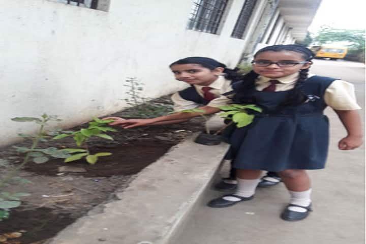 Sinhgad City School-Plantation