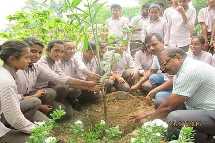 St Gianelli Convent School-Others plantation