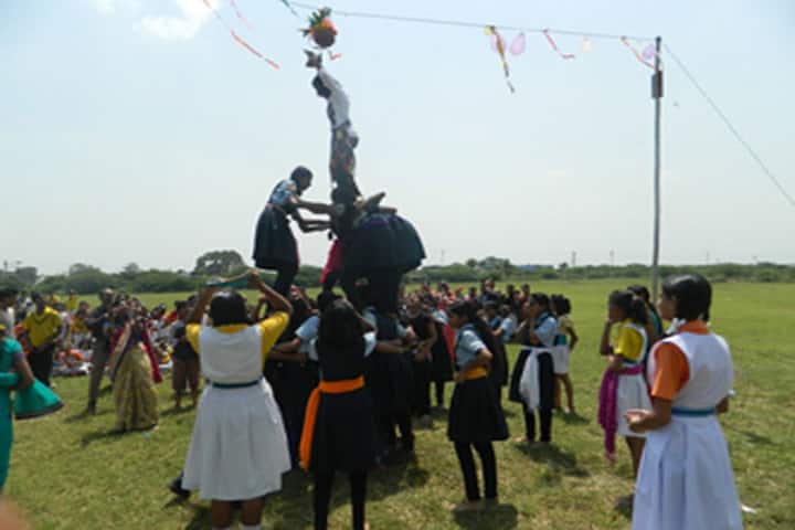 Swami Awadheshanand Public School-Festival Celebrations