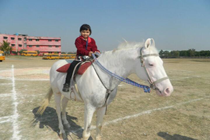 Swami Awadheshanand Public School-Horse Riding