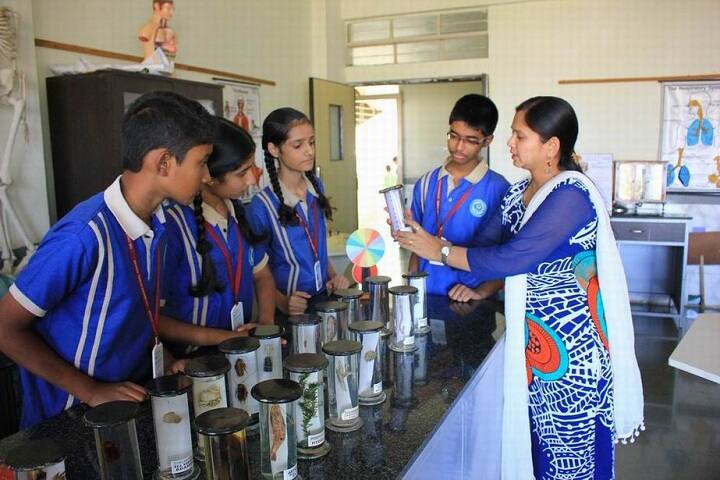 The Dwarka School-Biology Lab