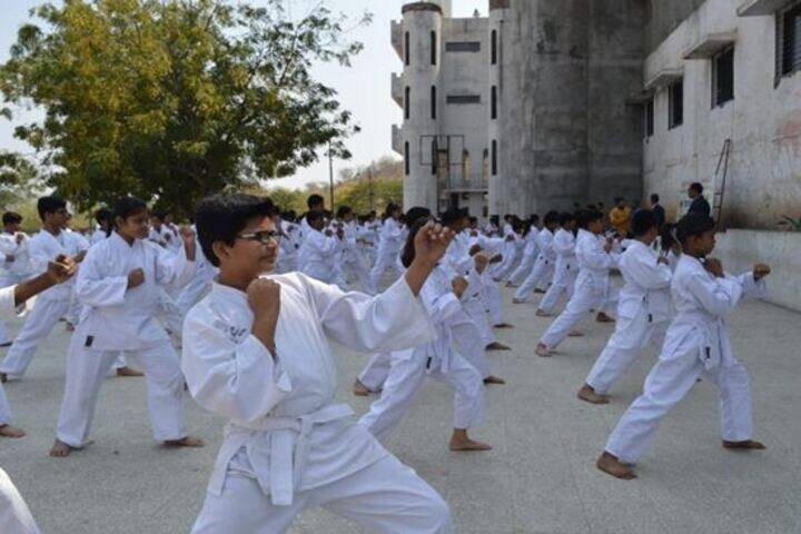 Vidya Niketan School-Karate