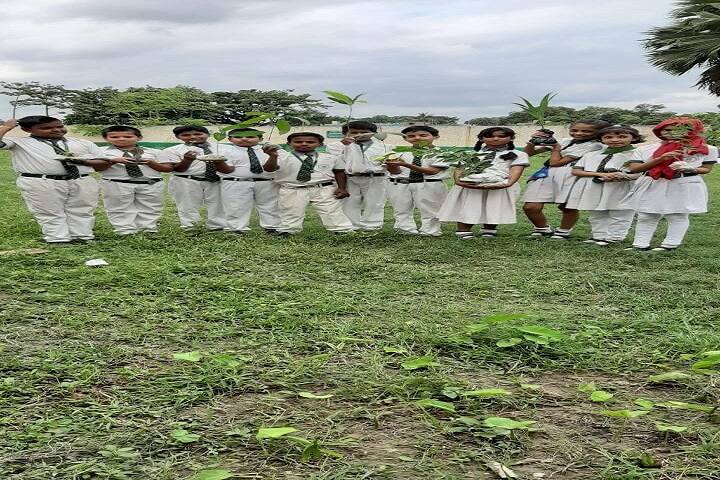 Delhi Public School-Plantation