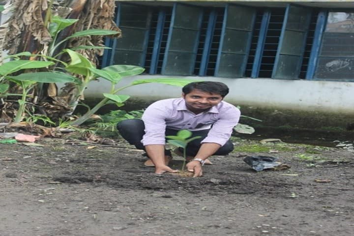 Kendriya Vidyalaya-Tree Plantation