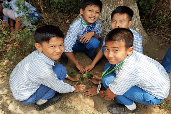 Kids Foundation-Others plantation
