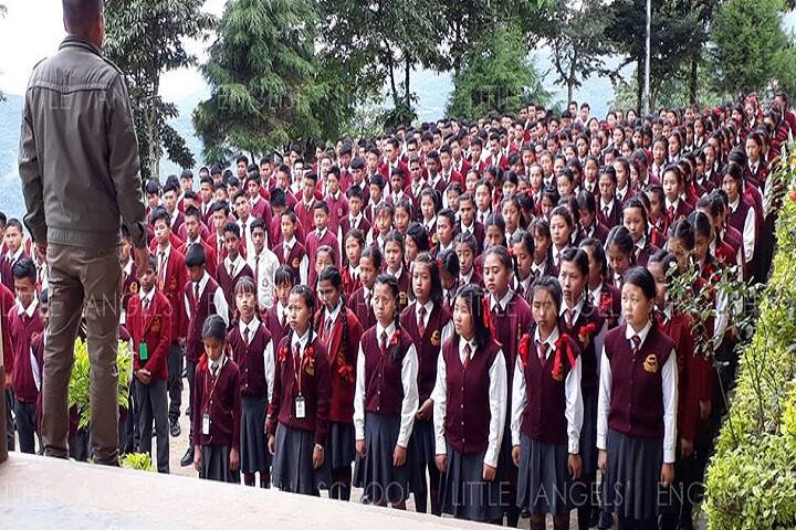 Little AngleS English School-Others