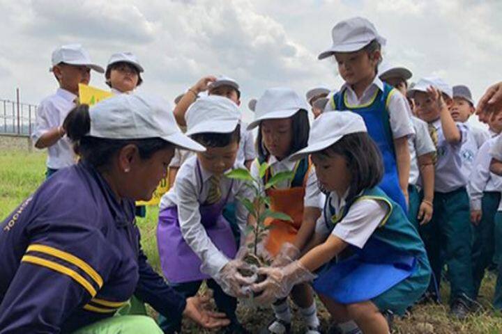 Maria Montessori School-Green day