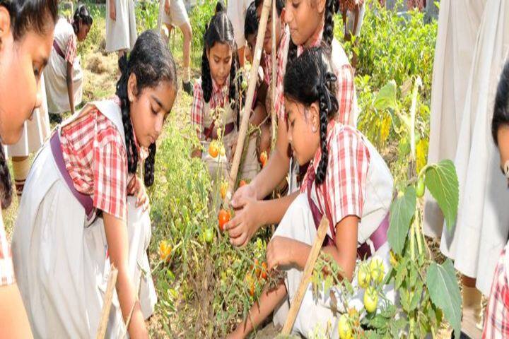 Abhyas The Global School-Indoor Gardening