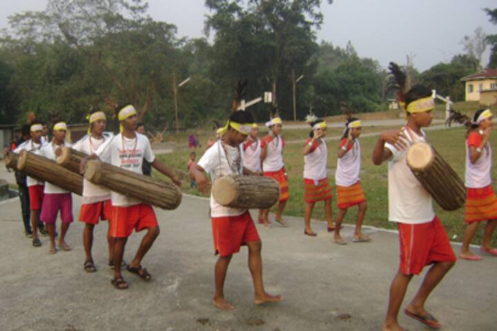 Jawahar Navodaya Vidyalaya-Activity