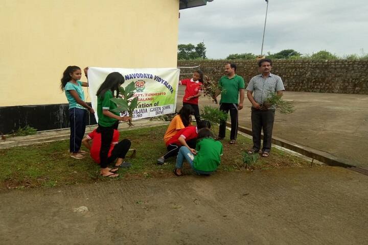 Jawahar Navodaya Vidyalaya-Plantation