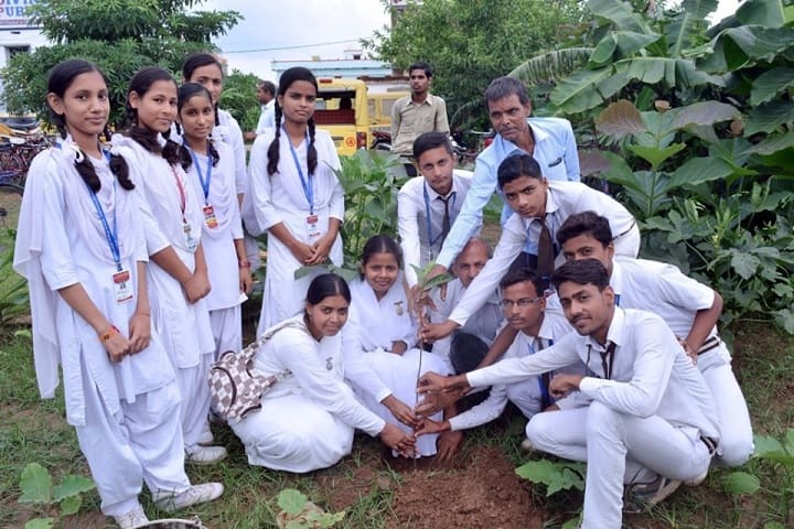 Divine Light Public School-Plantation