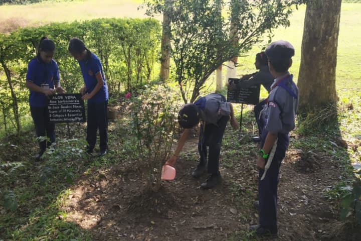 Kendriya Vidyalaya-Tree Plantation