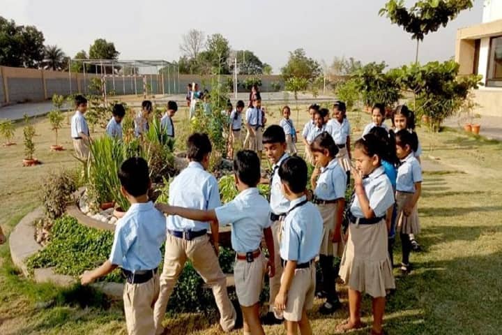 Aparna World School-Activity