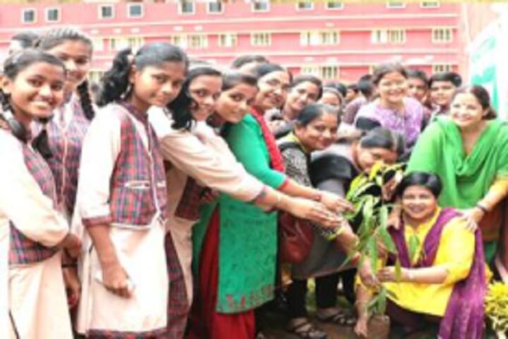Dav Public School-Plantation