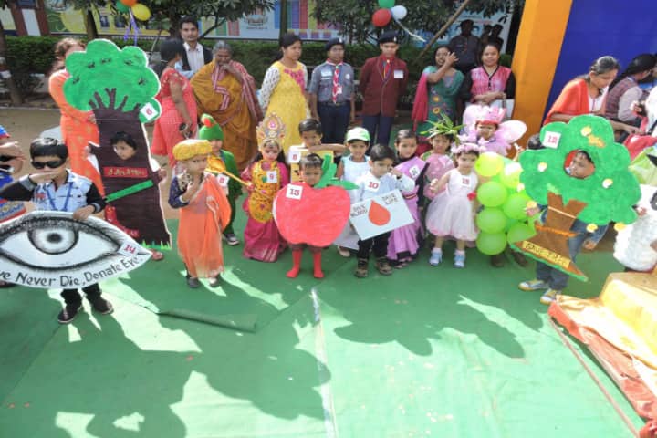 DAV Public School - Fancy dress