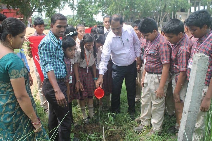 DAV Public School - Tree planting