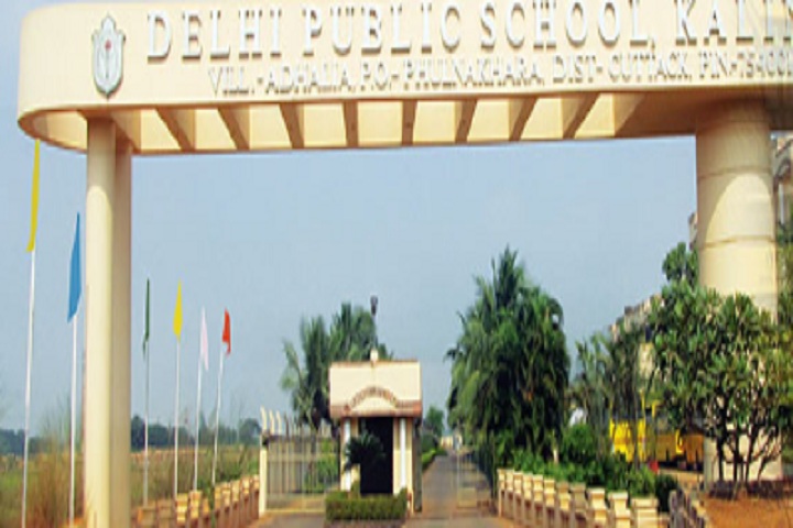 Delhi Public School-School Entrance
