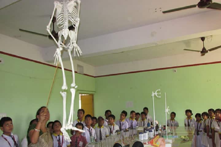 Gurukul Public School-Science Lab