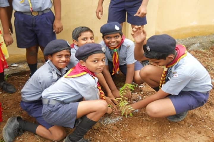 Kendriya Vidyalaya-Scout