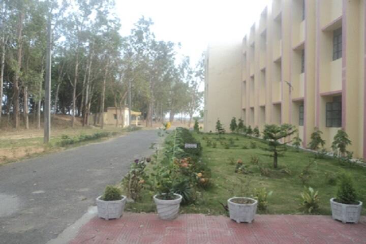 Kendriya Vidyalaya-School View