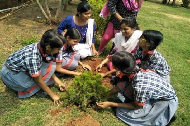 Kendriya Vidyalaya No 2-Tree Plantation