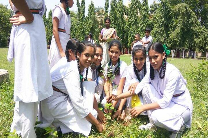 Maharishi Vidya Mandir-Plantation