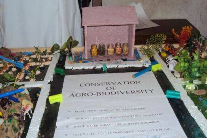 Modern English School-Science-Exhibition