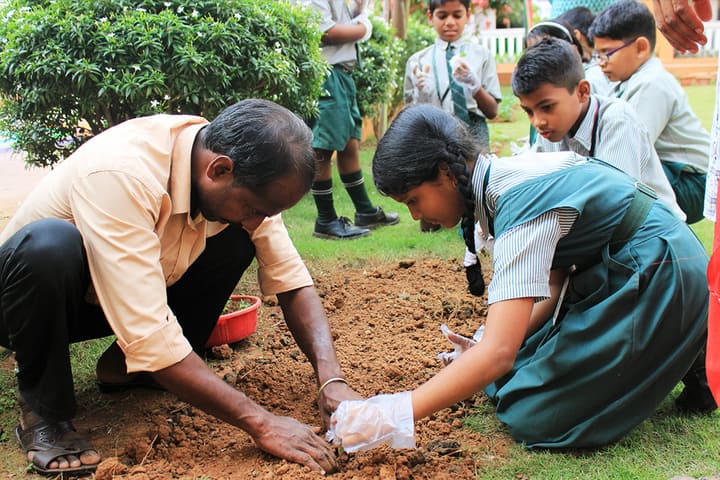 Mothers Public School-Tree Plantation