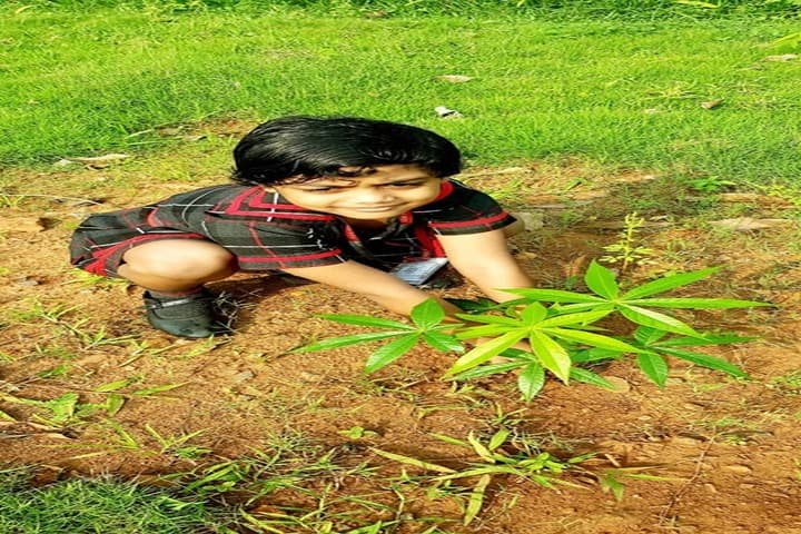 O D M Public School-Tree-Plantation