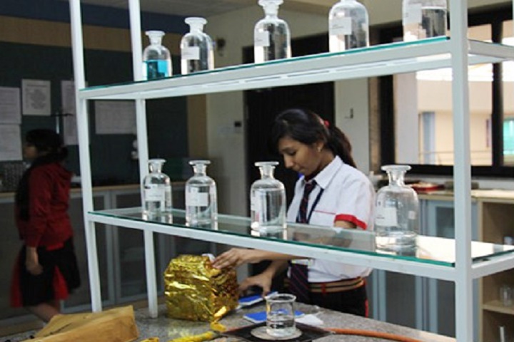 G D Goenka Public School-Chemistry Lab