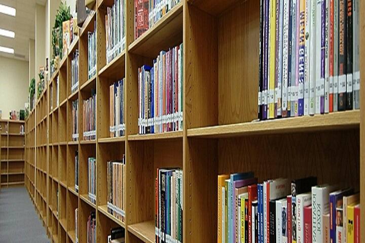 Roshni PublicSchool-Library